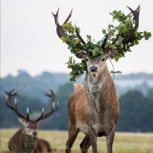 Meet your Posher, Keisha